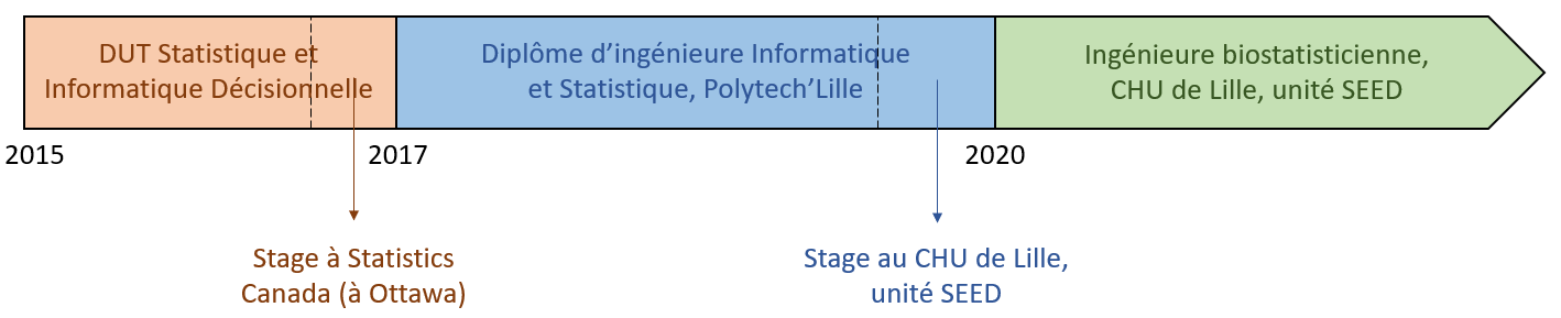 parcours universitaire et professionnel